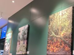-烹然四季椰子鸡火锅(姚家园万象汇店)
