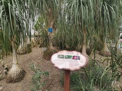 -南山植物园