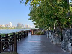 -南宁南湖公园