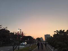 -野狸岛