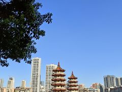 -宝岛公园