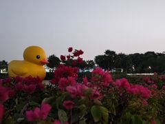 -深圳湾公园(南山区)