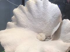 -游龙石文化科普馆