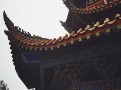 -铁山坪森林公园