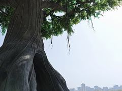 -渭滨公园