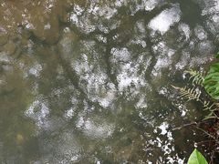 -水底山庄园温泉