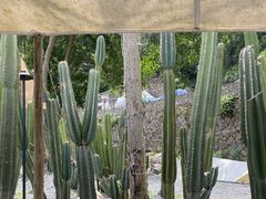 -MOJ coffee(瓯海泽雅水碓坑店)