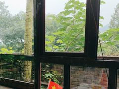 -野蔓果·山野菜(西湖景区·龙井茶田店)