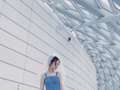 -凤凰中心