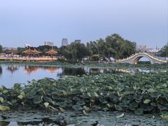 -长春市南湖公园