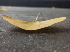 -金堂县云顶石城风景区