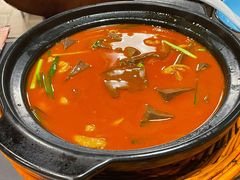 -金龙·打边炉(南京西路店)