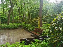 -徐家汇源景区-衡山公园