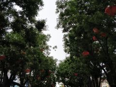 -星巴克(西安曲江银泰店)