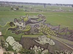 景点-稻梦空间