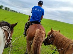 -额尔古纳黑山头绿野马帮骑马场