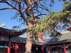 -北山公园