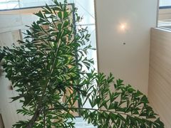 -A+阿加汤宿(大悦城店)