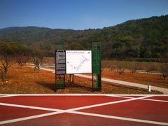 -龙寺生态园