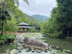 -亚龙湾热带天堂森林公园