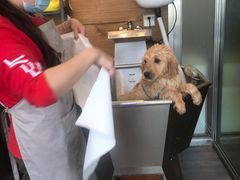 -PETKIT小佩宠物(古北店)