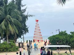 -海南清水湾莱佛士酒店