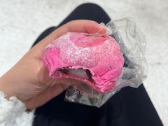 -分子跳动鲜活面包(五一大道店)