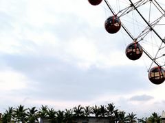 -三亚海昌梦幻海洋不夜城