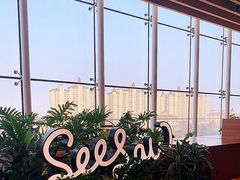 -Seesaw Coffee(朝阳大悦城店)