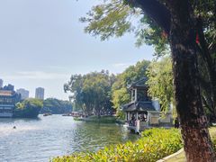 -荔湾湖公园
