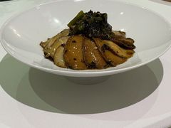 -西郊5号·Maggie 5