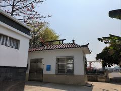 -长洲岛