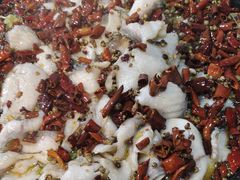 -金三可市井水煮鱼(金碧园店)