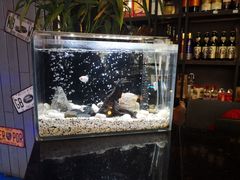 -798烧烤工厂(太和路店)