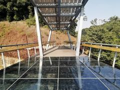 -阳台山森林公园