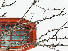 -岳阳楼景区