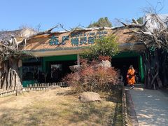 -杭州野生动物世界