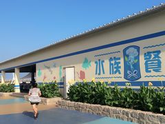 -秦皇岛乐岛海洋王国