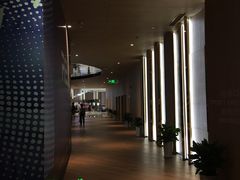 -SFC上影影城(港汇永华IMAX激光店)
