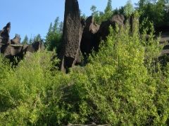 -峡谷浮石林景区