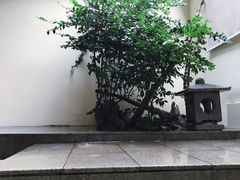 -江门古兜温泉小镇