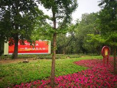 -廊坊市自然公园