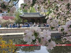 -海棠花溪(元大都城垣遗址公园)