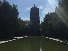 -玲珑塔公园