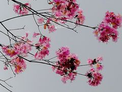 -文华公园(禅城区)