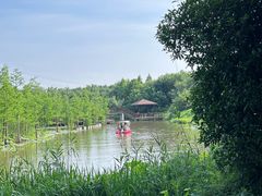 -同里国家湿地公园