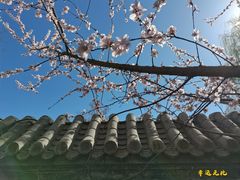 -三里河公园