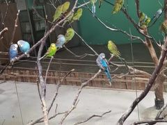 -上海大自然野生昆虫馆(东方明珠·爬宠昆虫探索中心)