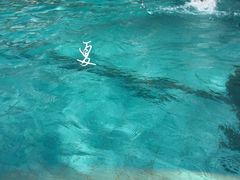 -梅林一村游泳池