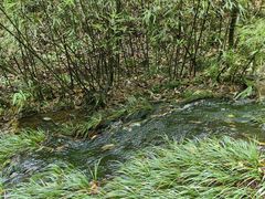 -龙苍沟森林公园